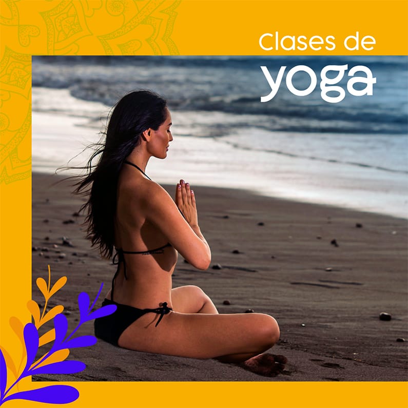 redes sociales buddha house