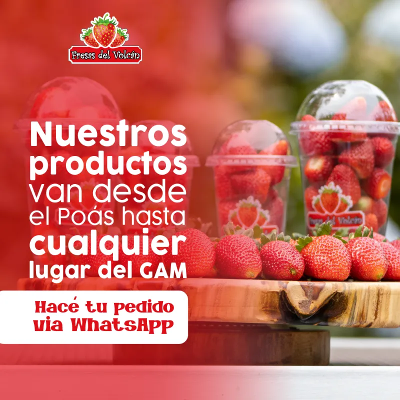fresas del volcan redes sociales post