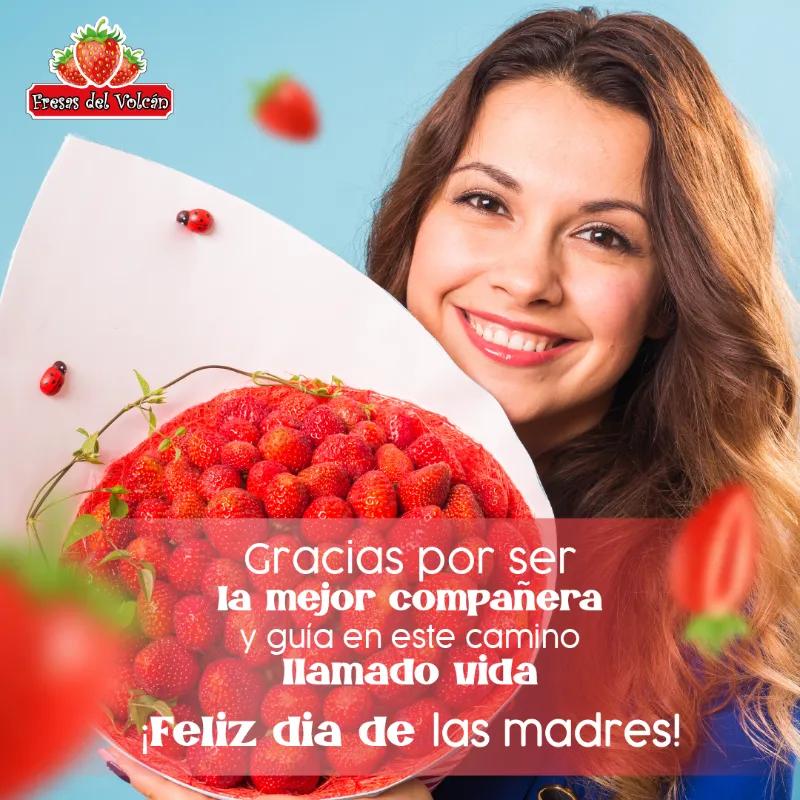 fresas del volcan redes sociales post