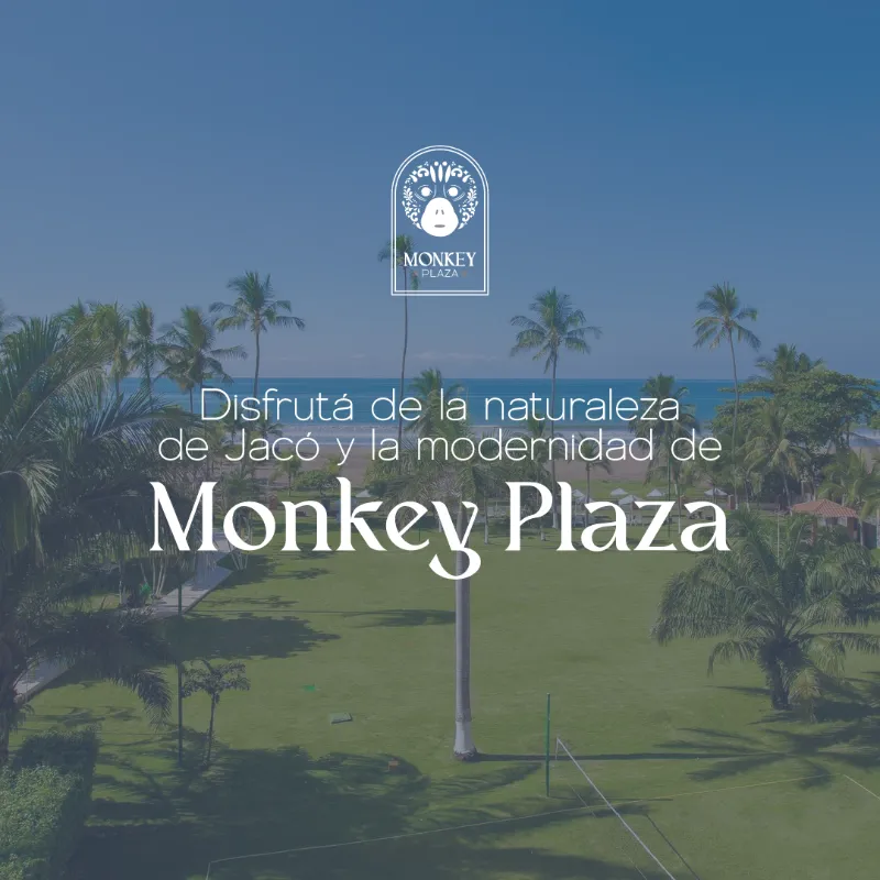 monkey plaza redes sociales