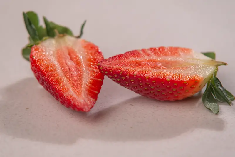 fresas del volcan sesion fotografica costa rica