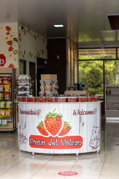 fresas del volcan sesion fotografica costa rica h