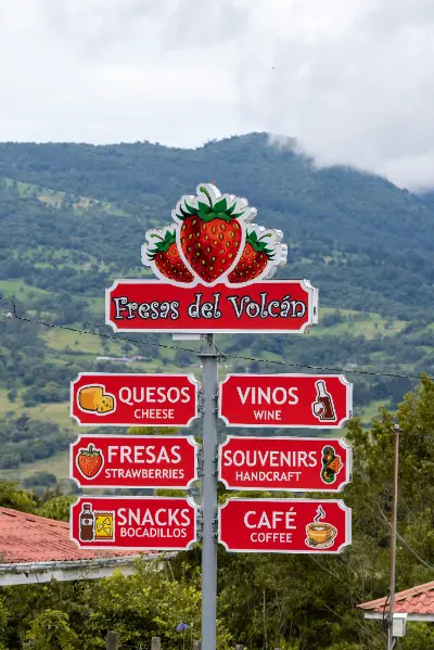 fresas del volcan sesion fotografica costa rica h