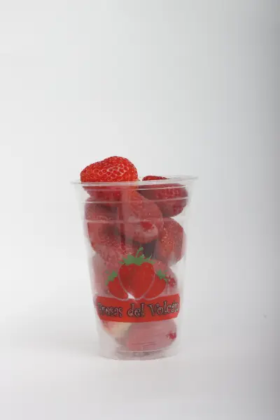 fresas del volcan sesion fotografica costa rica h