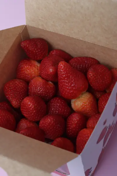 fresas del volcan sesion fotografica costa rica h