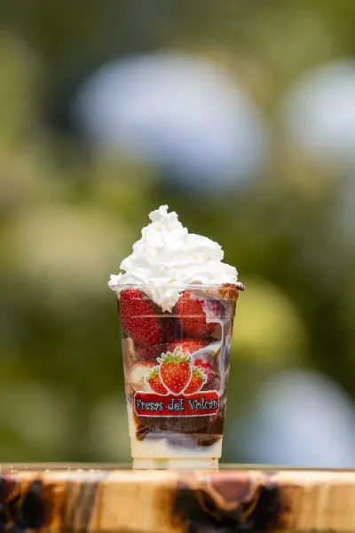 fresas del volcan sesion fotografica costa rica h